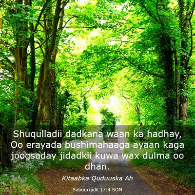 Picture 03 - Sabuurradii 17:4 SOM - Shuqulladii dadkana waan ka hadhay, Oo erayada - Bible Verse Picture