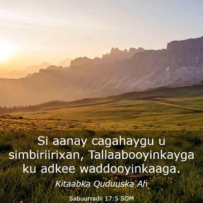 Picture 03 - Sabuurradii 17:5 SOM - Si aanay cagahaygu u simbiriirixan, - Bible Verse Picture