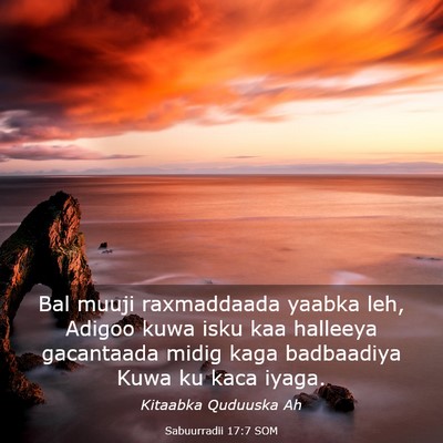Picture 03 - Sabuurradii 17:7 SOM - Bal muuji raxmaddaada yaabka leh, Adigoo kuwa - Bible Verse Picture