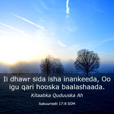Picture 03 - Sabuurradii 17:8 SOM - Ii dhawr sida isha inankeeda, Oo igu qari hooska - Bible Verse Picture