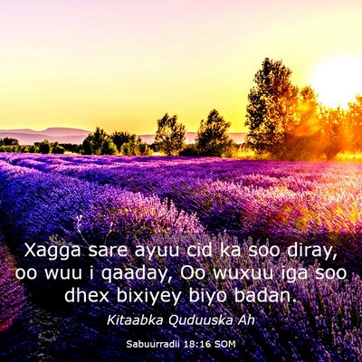 Picture 03 - Sabuurradii 18:16 SOM - Xagga sare ayuu cid ka soo diray, oo wuu i - Bible Verse Picture
