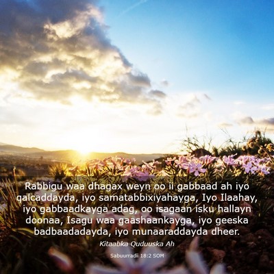 Picture 03 - Sabuurradii 18:2 SOM - Rabbigu waa dhagax weyn oo ii gabbaad ah iyo - Bible Verse Picture