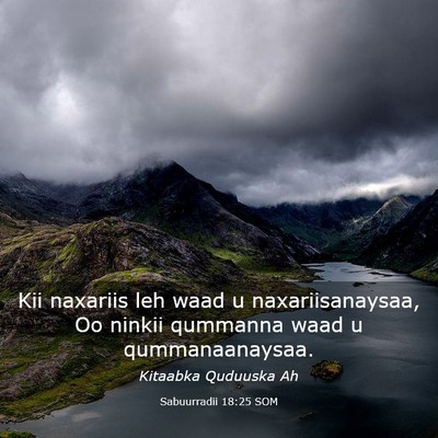 Picture 03 - Sabuurradii 18:25 SOM - Kii naxariis leh waad u naxariisanaysaa, Oo - Bible Verse Picture