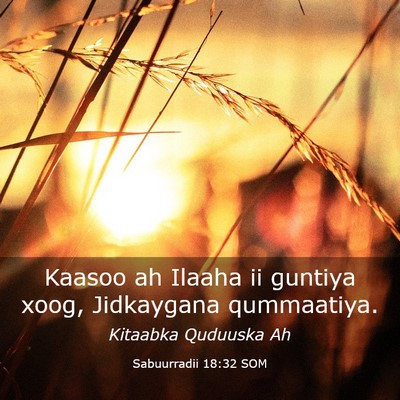 Picture 03 - Sabuurradii 18:32 SOM - Kaasoo ah Ilaaha ii guntiya xoog, Jidkaygana - Bible Verse Picture