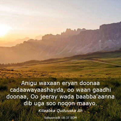 Picture 03 - Sabuurradii 18:37 SOM - Anigu waxaan eryan doonaa cadaawayaashayda, oo - Bible Verse Picture