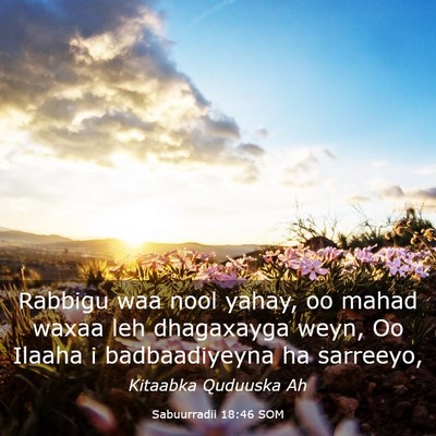Picture 03 - Sabuurradii 18:46 SOM - Rabbigu waa nool yahay, oo mahad waxaa leh - Bible Verse Picture