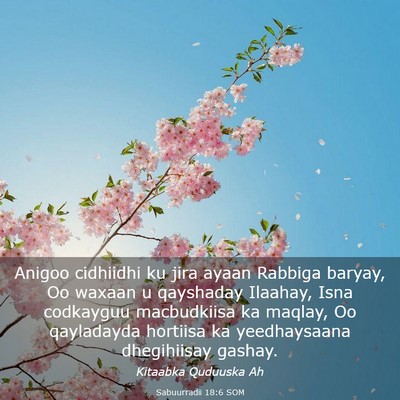 Picture 03 - Sabuurradii 18:6 SOM - Anigoo cidhiidhi ku jira ayaan Rabbiga baryay, Oo - Bible Verse Picture