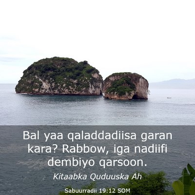Picture 03 - Sabuurradii 19:12 SOM - Bal yaa qaladdadiisa garan kara? Rabbow, iga - Bible Verse Picture