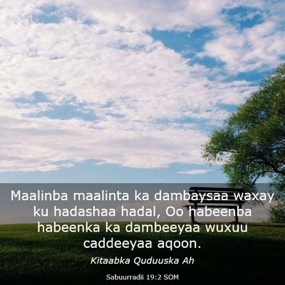 Picture 03 - Sabuurradii 19:2 SOM - Maalinba maalinta ka dambaysaa waxay ku hadashaa - Bible Verse Picture