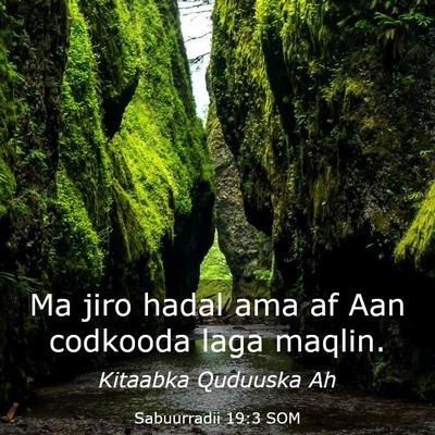 Picture 03 - Sabuurradii 19:3 SOM - Ma jiro hadal ama af Aan codkooda laga - Bible Verse Picture