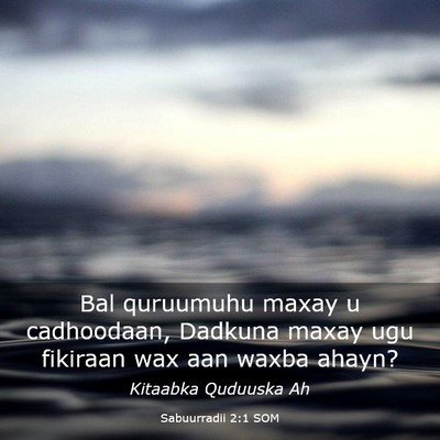 Picture 03 - Sabuurradii 2:1 SOM - Bal quruumuhu maxay u cadhoodaan, Dadkuna maxay - Bible Verse Picture