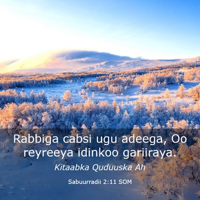 Picture 03 - Sabuurradii 2:11 SOM - Rabbiga cabsi ugu adeega, Oo reyreeya idinkoo - Bible Verse Picture