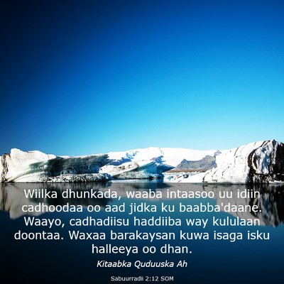 Picture 03 - Sabuurradii 2:12 SOM - Wiilka dhunkada, waaba intaasoo uu idiin - Bible Verse Picture