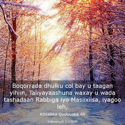 Picture 03 - Sabuurradii 2:2 SOM - Boqorrada dhulku col bay u taagan yihiin, - Bible Verse Picture