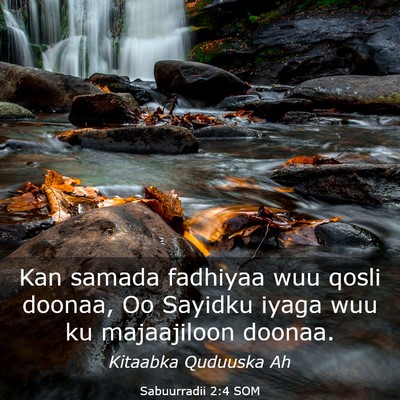 Picture 03 - Sabuurradii 2:4 SOM - Kan samada fadhiyaa wuu qosli doonaa, Oo Sayidku - Bible Verse Picture