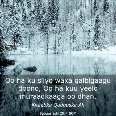 Picture 03 - Sabuurradii 20:4 SOM - Oo ha ku siiyo waxa qalbigaagu doono, Oo ha kuu - Bible Verse Picture