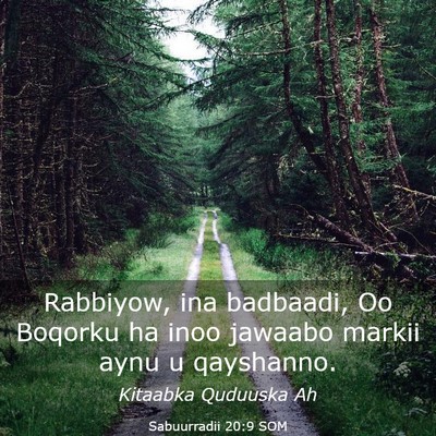 Picture 03 - Sabuurradii 20:9 SOM - Rabbiyow, ina badbaadi, Oo Boqorku ha inoo - Bible Verse Picture