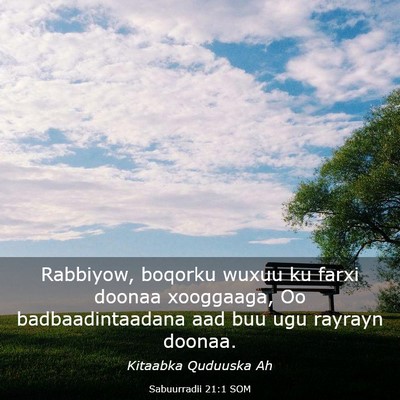 Picture 03 - Sabuurradii 21:1 SOM - Rabbiyow, boqorku wuxuu ku farxi doonaa - Bible Verse Picture