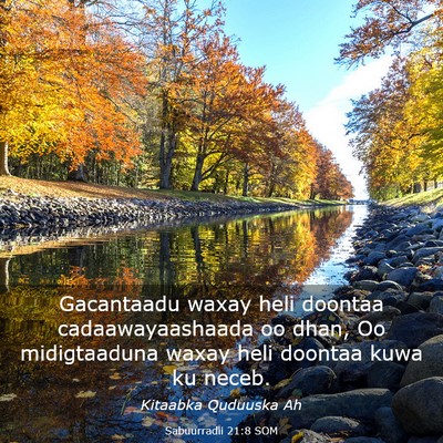 Picture 03 - Sabuurradii 21:8 SOM - Gacantaadu waxay heli doontaa cadaawayaashaada oo - Bible Verse Picture