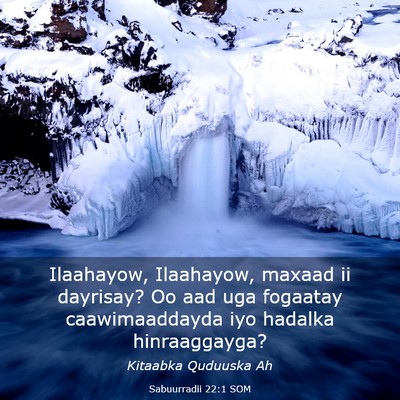 Picture 03 - Sabuurradii 22:1 SOM - Ilaahayow, Ilaahayow, maxaad ii dayrisay? Oo aad - Bible Verse Picture