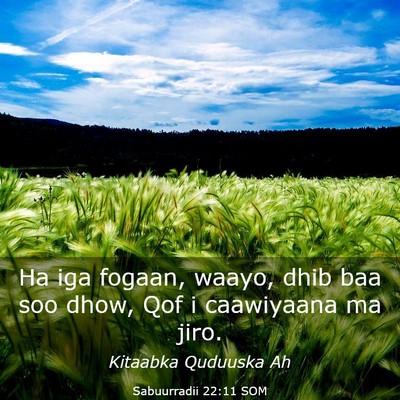 Picture 03 - Sabuurradii 22:11 SOM - Ha iga fogaan, waayo, dhib baa soo dhow, Qof i - Bible Verse Picture