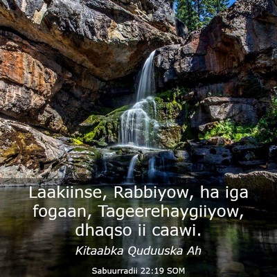 Picture 03 - Sabuurradii 22:19 SOM - Laakiinse, Rabbiyow, ha iga fogaan, - Bible Verse Picture
