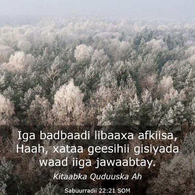 Picture 03 - Sabuurradii 22:21 SOM - Iga badbaadi libaaxa afkiisa, Haah, xataa - Bible Verse Picture