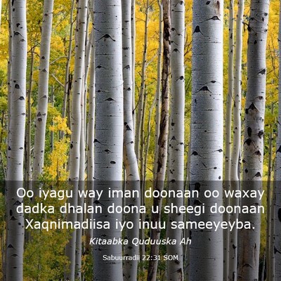 Picture 03 - Sabuurradii 22:31 SOM - Oo iyagu way iman doonaan oo waxay dadka dhalan - Bible Verse Picture