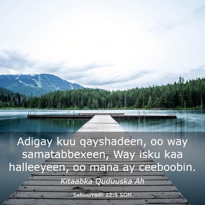 Picture 03 - Sabuurradii 22:5 SOM - Adigay kuu qayshadeen, oo way samatabbexeen, Way - Bible Verse Picture