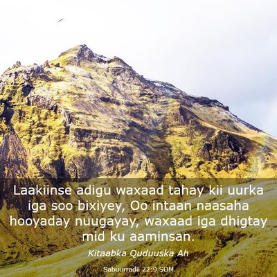Picture 03 - Sabuurradii 22:9 SOM - Laakiinse adigu waxaad tahay kii uurka iga soo - Bible Verse Picture