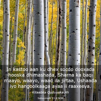Picture 03 - Sabuurradii 23:4 SOM - In kastoo aan ku dhex socdo dooxada hooska - Bible Verse Picture