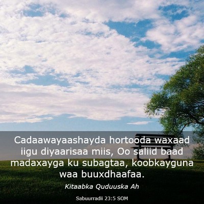 Picture 03 - Sabuurradii 23:5 SOM - Cadaawayaashayda hortooda waxaad iigu diyaarisaa - Bible Verse Picture