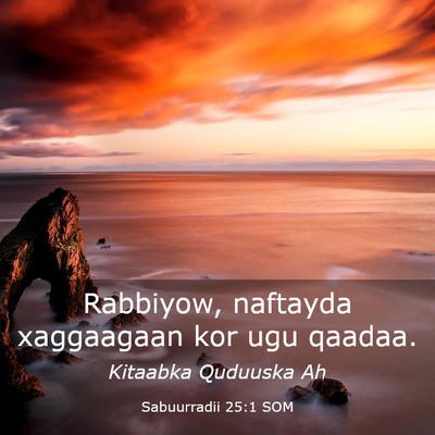 Picture 03 - Sabuurradii 25:1 SOM - Rabbiyow, naftayda xaggaagaan kor ugu - Bible Verse Picture