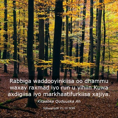 Picture 03 - Sabuurradii 25:10 SOM - Rabbiga waddooyinkiisa oo dhammu waxay raxmad iyo - Bible Verse Picture