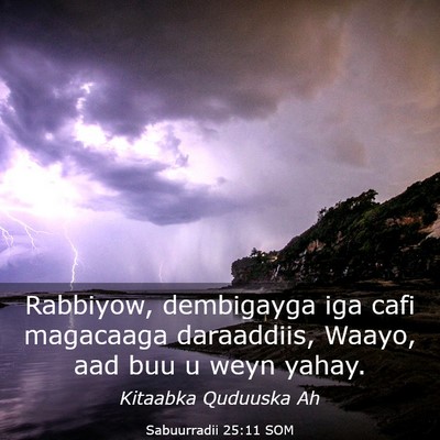 Picture 03 - Sabuurradii 25:11 SOM - Rabbiyow, dembigayga iga cafi magacaaga - Bible Verse Picture