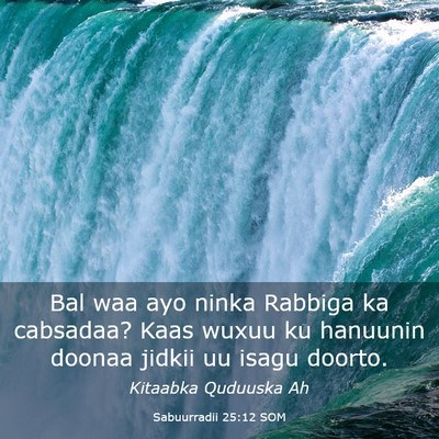 Picture 03 - Sabuurradii 25:12 SOM - Bal waa ayo ninka Rabbiga ka cabsadaa? Kaas wuxuu - Bible Verse Picture