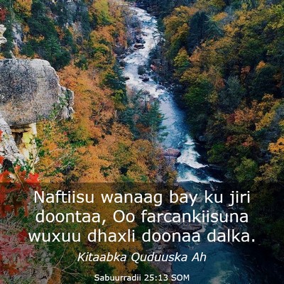 Picture 03 - Sabuurradii 25:13 SOM - Naftiisu wanaag bay ku jiri doontaa, Oo - Bible Verse Picture