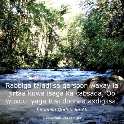 Picture 03 - Sabuurradii 25:14 SOM - Rabbiga taladiisa qarsoon waxay la jirtaa kuwa - Bible Verse Picture