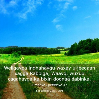Picture 03 - Sabuurradii 25:15 SOM - Weligayba indhahaygu waxay u jeedaan xagga - Bible Verse Picture