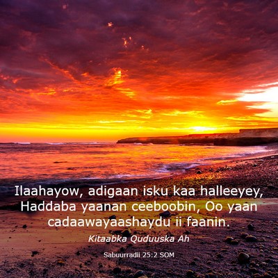 Picture 03 - Sabuurradii 25:2 SOM - Ilaahayow, adigaan isku kaa halleeyey, Haddaba - Bible Verse Picture