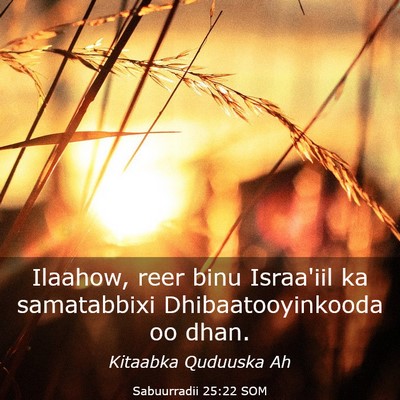 Picture 03 - Sabuurradii 25:22 SOM - Ilaahow, reer binu Israa'iil ka samatabbixi - Bible Verse Picture