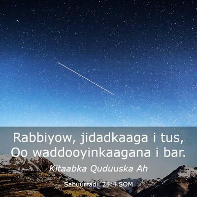 Picture 03 - Sabuurradii 25:4 SOM - Rabbiyow, jidadkaaga i tus, Oo waddooyinkaagana i - Bible Verse Picture
