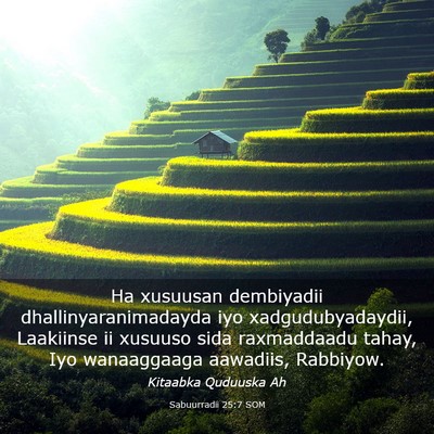 Picture 03 - Sabuurradii 25:7 SOM - Ha xusuusan dembiyadii dhallinyaranimadayda iyo - Bible Verse Picture