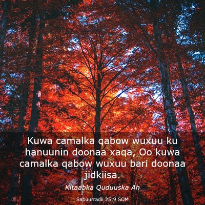 Picture 03 - Sabuurradii 25:9 SOM - Kuwa camalka qabow wuxuu ku hanuunin doonaa xaqa, - Bible Verse Picture
