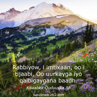 Picture 03 - Sabuurradii 26:2 SOM - Rabbiyow, i imtixaan, oo i tijaabi, Oo uurkayga - Bible Verse Picture