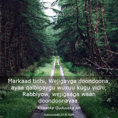 Picture 03 - Sabuurradii 27:8 SOM - Markaad tidhi, Wejigayga doondoona, ayaa - Bible Verse Picture