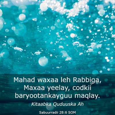 Picture 03 - Sabuurradii 28:6 SOM - Mahad waxaa leh Rabbiga, Maxaa yeelay, codkii - Bible Verse Picture