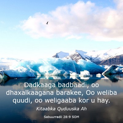 Picture 03 - Sabuurradii 28:9 SOM - Dadkaaga badbaadi, oo dhaxalkaagana barakee, Oo - Bible Verse Picture