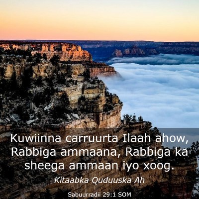 Picture 03 - Sabuurradii 29:1 SOM - Kuwiinna carruurta Ilaah ahow, Rabbiga ammaana, - Bible Verse Picture