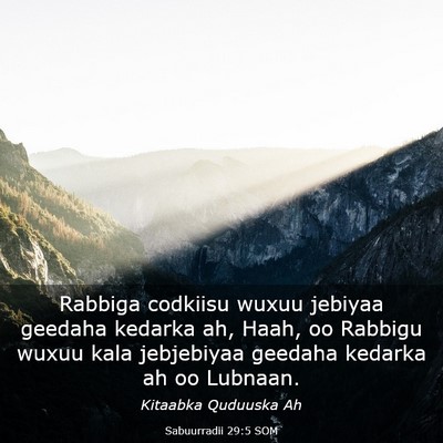Picture 03 - Sabuurradii 29:5 SOM - Rabbiga codkiisu wuxuu jebiyaa geedaha kedarka - Bible Verse Picture